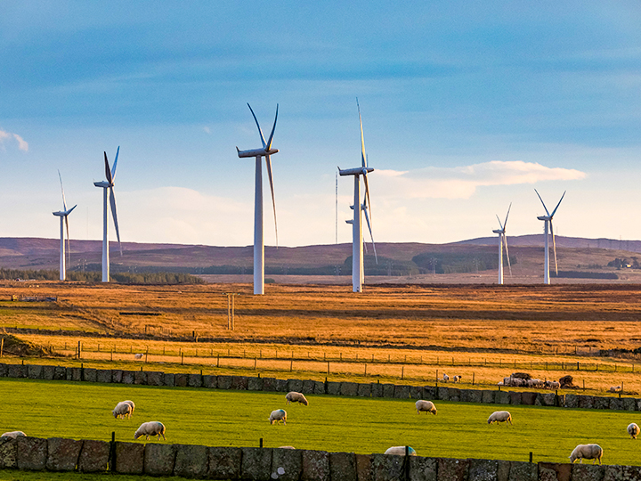 Wind Turbines in a field with sheep in the foreground